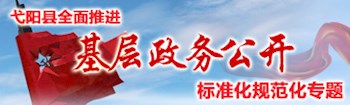 政務公開標準化規范化建設
